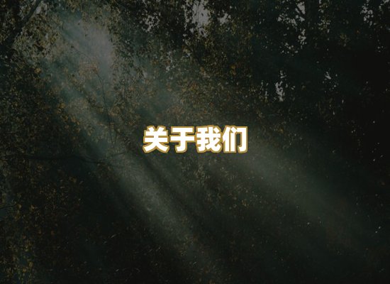 关于我们